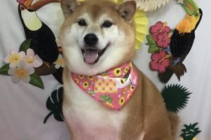 7月のお友達☆