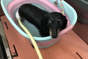 ７月のお友達☆