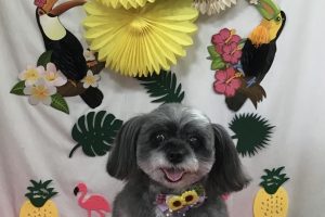 ７月のお友達☆