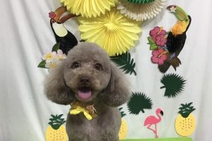 ７月のお友達☆