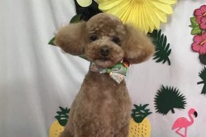 7月のお友達☆