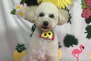 ７月のお友達☆
