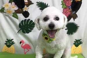 ７月のお友達☆