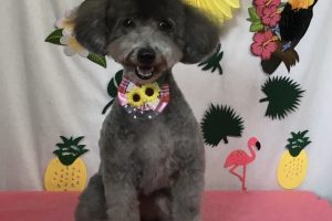 7月のお友達☆