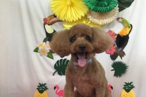 ７月のお友達☆