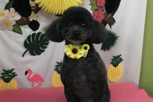 7月のお友達☆