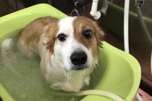 7月のお友達☆