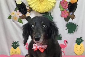 7月のお友達☆