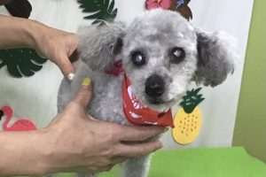 ７月のお友達☆