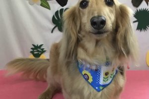 ７月のお友達☆