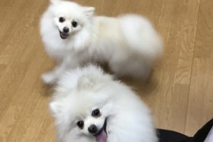お泊まり中☆