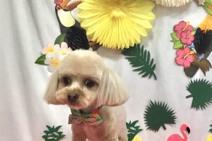 7月のお友達☆