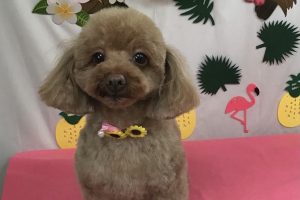 ７月のお友達☆