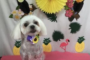 ７月のお友達☆