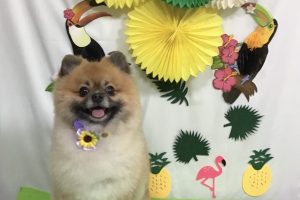 7月のお友達☆