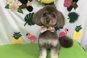 ７月のお友達☆