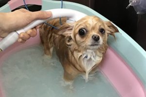 7月のお友達☆