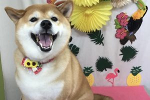 ７月のお友達☆