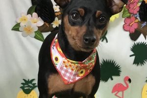 7月のお友達☆