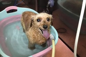 ７月のお友達☆