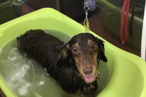 7月のお友達☆