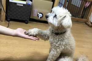お泊まり中☆