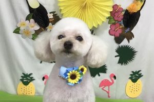 7月のお友達☆