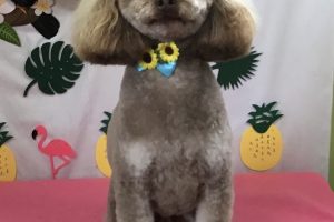 7月のお友達☆