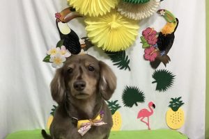 ７月のお友達☆