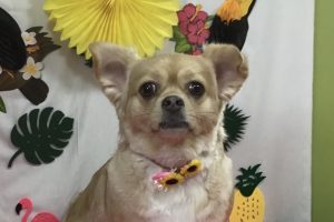 ７月のお友達☆