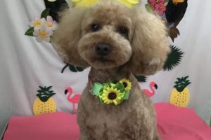 ７月のお友達☆
