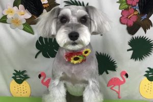 ７月のお友達☆
