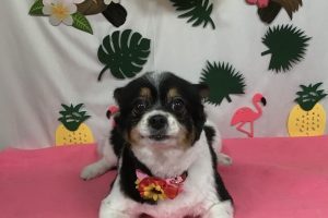 ７月のお友達☆