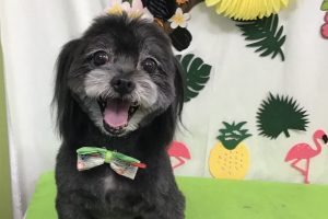 ７月のお友達☆