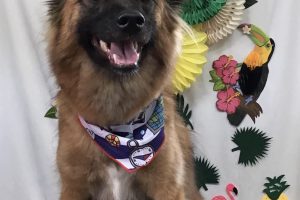 ７月のお友達☆