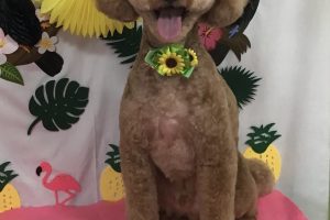 7月のお友達☆
