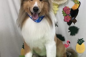 ７月のお友達☆