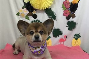 ７月のお友達☆