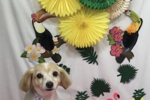 ７月のお友達☆
