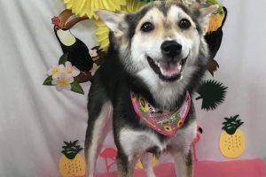 ７月のお友達☆