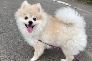 お泊まり中☆