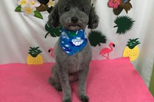 ７月のお友達☆