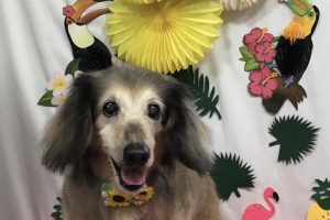 ７月のお友達☆