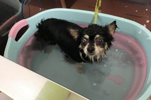 ７月のお友達☆