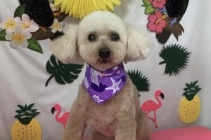 7月のお友達☆