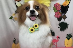 ７月のお友達☆