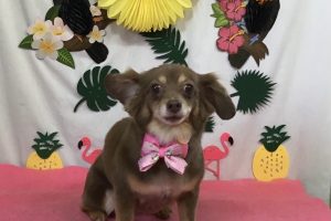 7月のお友達☆