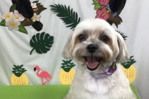 ７月のお友達☆