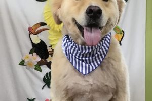 ７月のお友達☆
