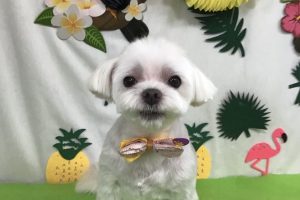 ７月のお友達☆